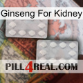 Ginseng For Kidney 17